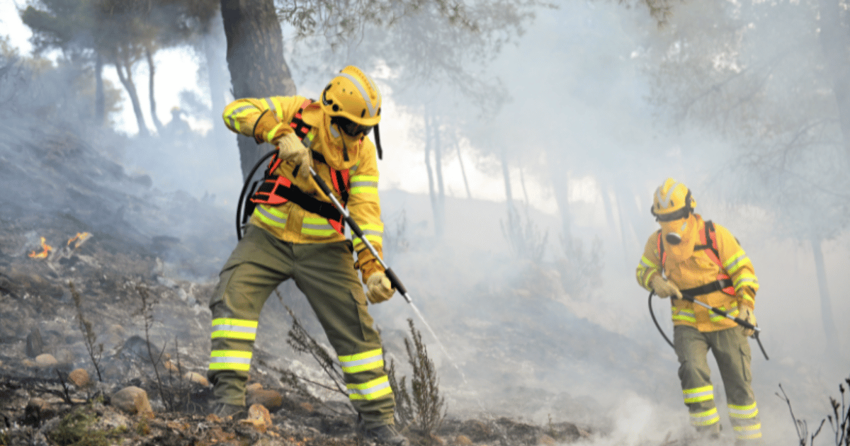 Sammutusreput helpottavat liikkumista metsäpaloissa | Teknosafe